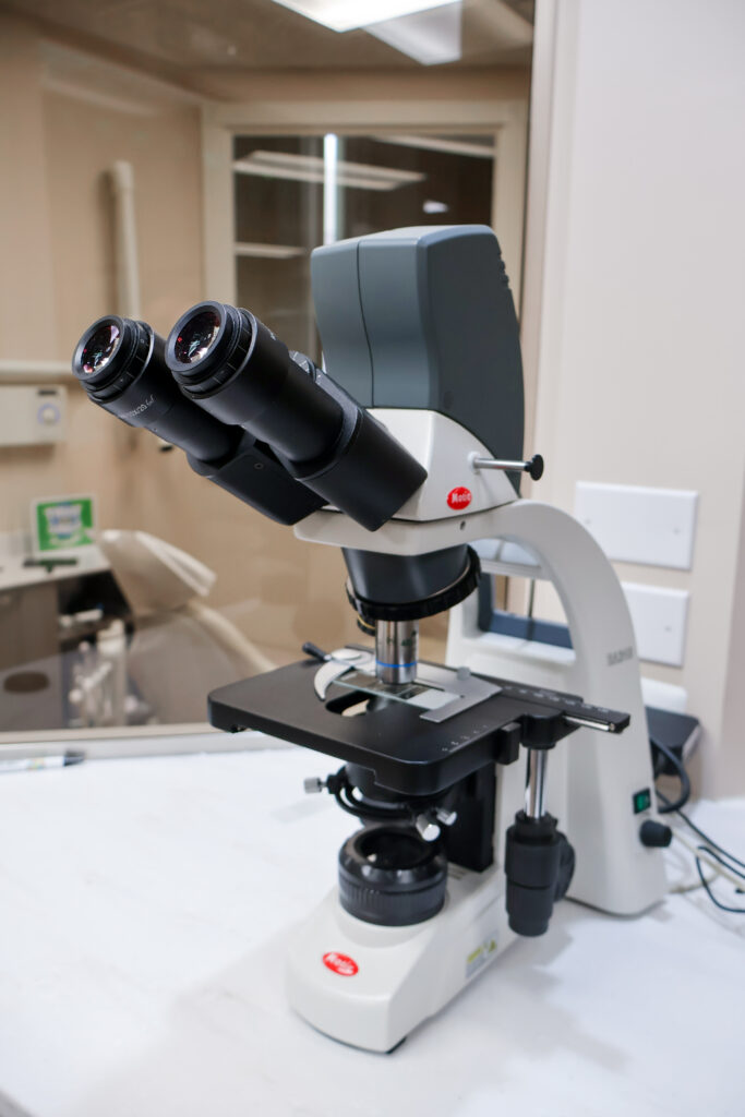 dental microscope